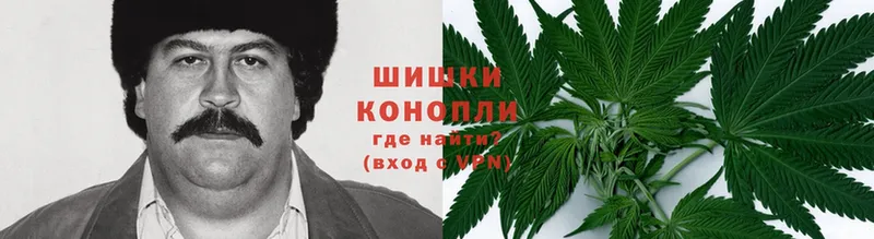 ссылка на мегу как войти  Новокузнецк  Бошки марихуана White Widow  даркнет сайт 